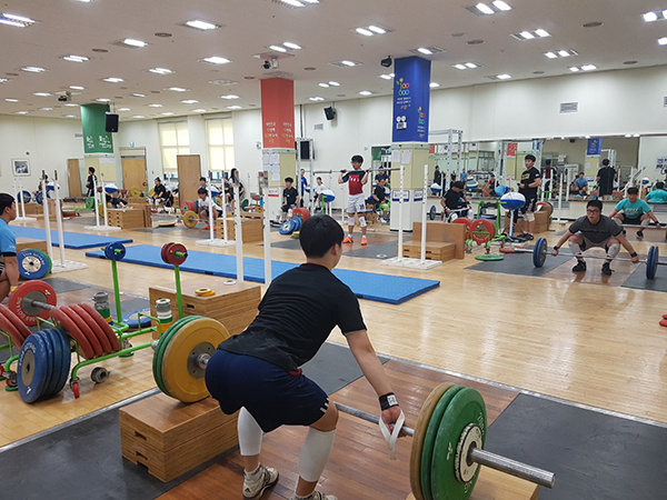 체육계열 진로고민, 꿈·끼 한마당에서 해결