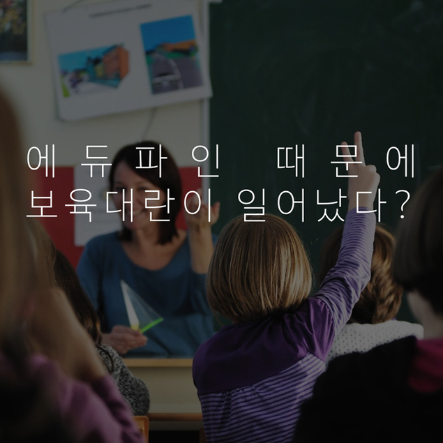 에듀파인 때문에 보육대란이 일어났다?