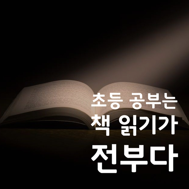 초등 공부는 책 읽기가 전부다