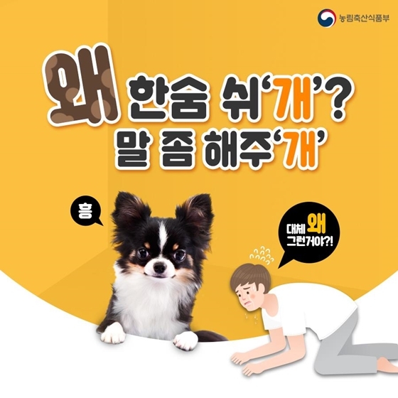 반려견이 보내는 마음의 신호, 어떤 의미일까?
