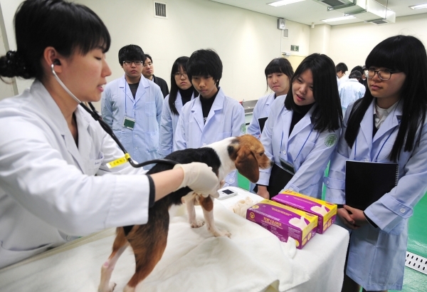 학령인구 감소에도 \'수의대\' 경쟁률 상승…2021 수의대 입시 전략은?