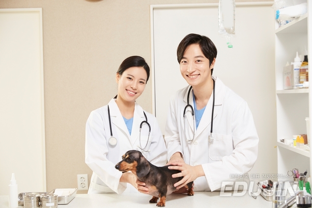 반려동물 인구 급증에 의·치·한 안 부러운 \'수의예과\'…수시로 가고 싶다면?